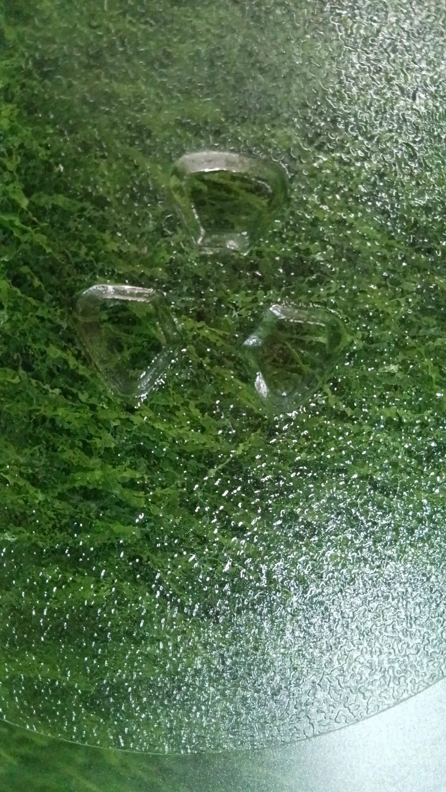 Oven glass plate 11 sentimeter - Image 3
